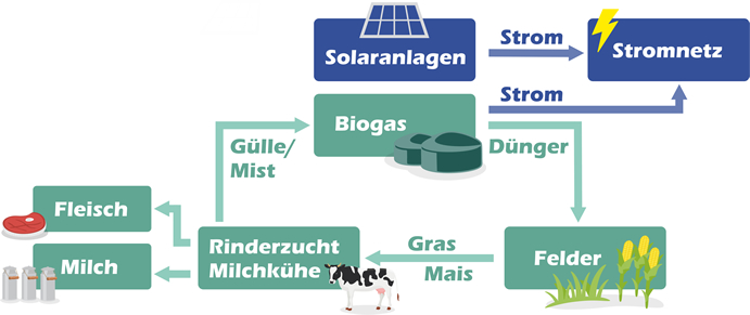 Mensch, Tier und Umwelt im Einklang